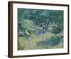 Olive Orchard, 1889-Vincent van Gogh-Framed Giclee Print