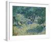 Olive Orchard, 1889-Vincent van Gogh-Framed Giclee Print