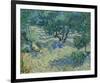 Olive Orchard, 1889-Vincent van Gogh-Framed Giclee Print