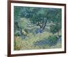 Olive Orchard, 1889-Vincent van Gogh-Framed Giclee Print