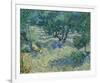 Olive Orchard, 1889-Vincent van Gogh-Framed Giclee Print