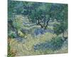 Olive Orchard, 1889-Vincent van Gogh-Mounted Giclee Print