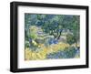 Olive Orchard, c.1889-Vincent van Gogh-Framed Giclee Print