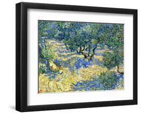 Olive Orchard, c.1889-Vincent van Gogh-Framed Giclee Print