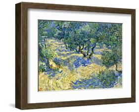 Olive Orchard, c.1889-Vincent van Gogh-Framed Giclee Print