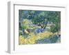 Olive Orchard, c.1889-Vincent van Gogh-Framed Giclee Print