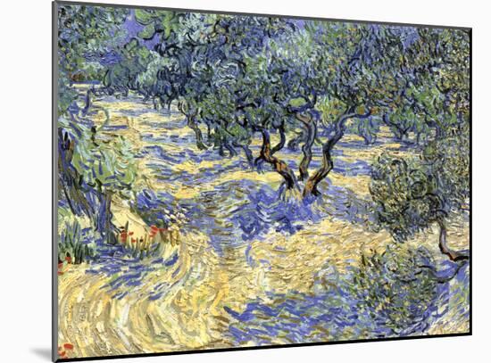 Olive Orchard, c.1889-Vincent van Gogh-Mounted Giclee Print