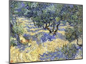 Olive Orchard, c.1889-Vincent van Gogh-Mounted Giclee Print