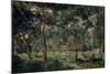 Olive Orchard, Early 1870S-Charles François Daubigny-Mounted Giclee Print