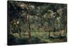 Olive Orchard, Early 1870S-Charles François Daubigny-Stretched Canvas