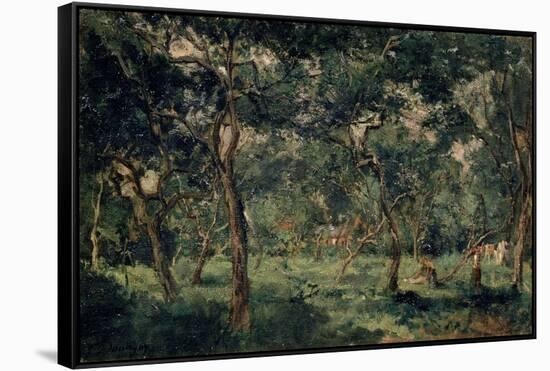 Olive Orchard, Early 1870S-Charles François Daubigny-Framed Stretched Canvas