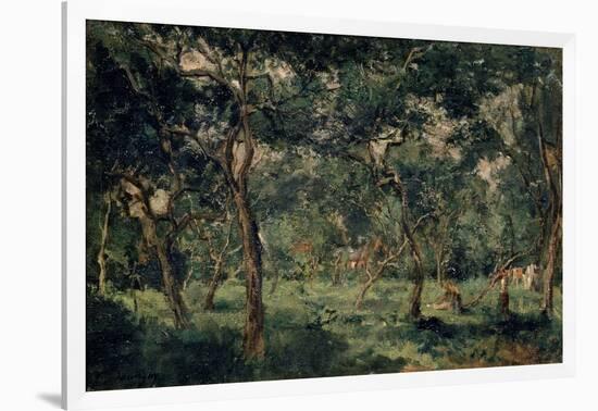 Olive Orchard, Early 1870S-Charles François Daubigny-Framed Giclee Print