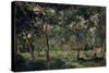 Olive Orchard, Early 1870S-Charles François Daubigny-Stretched Canvas