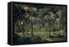Olive Orchard, Early 1870S-Charles François Daubigny-Framed Stretched Canvas