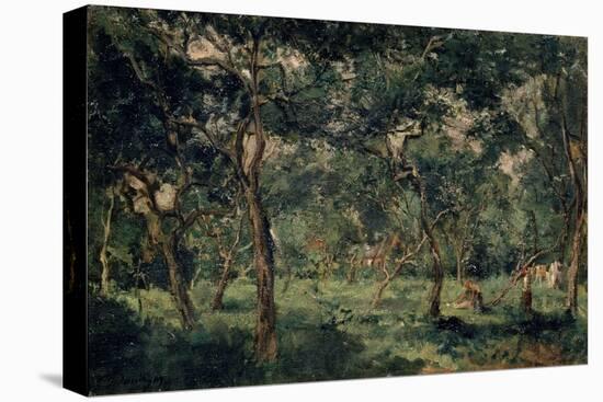 Olive Orchard, Early 1870S-Charles François Daubigny-Stretched Canvas