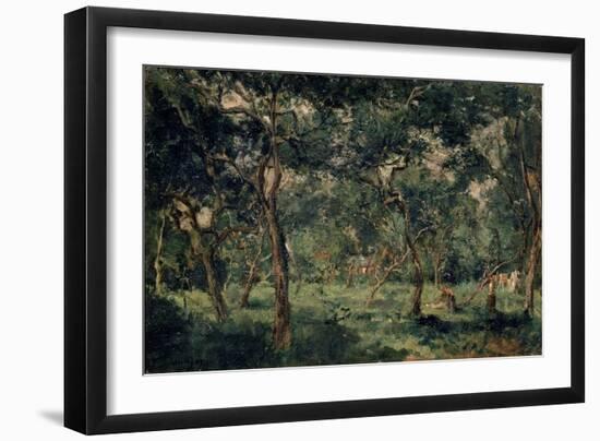 Olive Orchard, Early 1870S-Charles François Daubigny-Framed Giclee Print