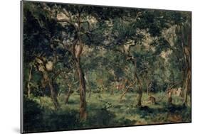 Olive Orchard, Early 1870S-Charles François Daubigny-Mounted Giclee Print