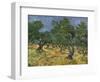 Olive Orchard Mid-June, 1889-Vincent van Gogh-Framed Premium Giclee Print