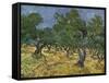 Olive Orchard Mid-June, 1889-Vincent van Gogh-Framed Stretched Canvas