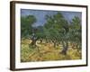 Olive Orchard Mid-June, 1889-Vincent van Gogh-Framed Giclee Print