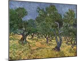 Olive Orchard Mid-June, 1889-Vincent van Gogh-Mounted Giclee Print