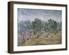 Olive Orchard, Violet Soil-Vincent van Gogh-Framed Giclee Print