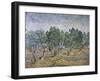 Olive Orchard, Violet Soil-Vincent van Gogh-Framed Giclee Print