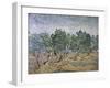 Olive Orchard, Violet Soil-Vincent van Gogh-Framed Giclee Print