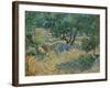 Olive Orchard-Vincent van Gogh-Framed Giclee Print