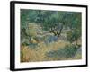 Olive Orchard-Vincent van Gogh-Framed Giclee Print