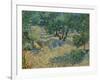 Olive Orchard-Vincent van Gogh-Framed Giclee Print