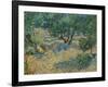 Olive Orchard-Vincent van Gogh-Framed Giclee Print