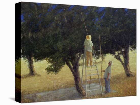 Olive Pickers, 1985-Lincoln Seligman-Stretched Canvas