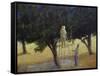 Olive Pickers, 1985-Lincoln Seligman-Framed Stretched Canvas