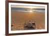 Olive Ridley Turtle Hatchling, Baja, Mexico-Paul Souders-Framed Photographic Print