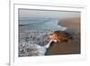 olive ridley turtle returning to ocean after mass nesting event-claudio contreras-Framed Photographic Print