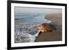 olive ridley turtle returning to ocean after mass nesting event-claudio contreras-Framed Photographic Print