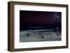 Olive ridley turtles coming ashore at night to lay eggs, Mexico-Tui De Roy-Framed Photographic Print