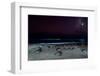 Olive ridley turtles coming ashore at night to lay eggs, Mexico-Tui De Roy-Framed Photographic Print