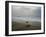 Olive Ridley Turtles Return to the Bay of Bengal Sea after Laying Eggs on Gokhurkuda Beach, India-null-Framed Premium Photographic Print