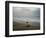 Olive Ridley Turtles Return to the Bay of Bengal Sea after Laying Eggs on Gokhurkuda Beach, India-null-Framed Photographic Print