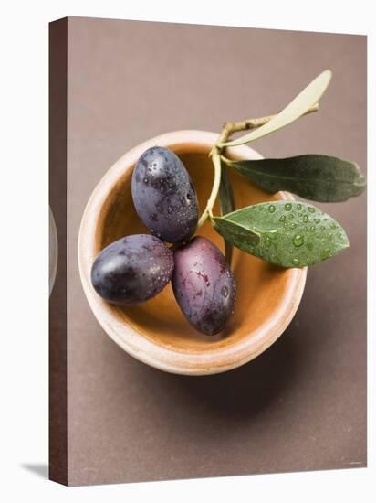 Olive Sprig with Black Olives in Terracotta Bowl-null-Stretched Canvas