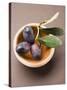 Olive Sprig with Black Olives in Terracotta Bowl-null-Stretched Canvas