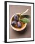 Olive Sprig with Black Olives in Terracotta Bowl-null-Framed Photographic Print