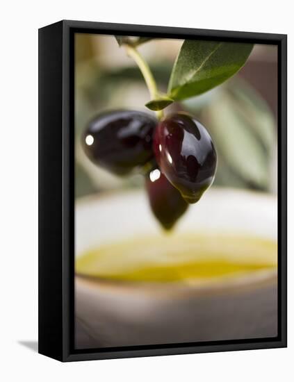 Olive Sprig with Black Olives over Bowl of Olive Oil-null-Framed Stretched Canvas