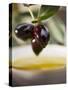Olive Sprig with Black Olives over Bowl of Olive Oil-null-Stretched Canvas