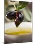 Olive Sprig with Black Olives over Bowl of Olive Oil-null-Mounted Photographic Print