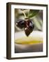 Olive Sprig with Black Olives over Bowl of Olive Oil-null-Framed Photographic Print