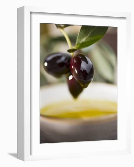 Olive Sprig with Black Olives over Bowl of Olive Oil-null-Framed Photographic Print