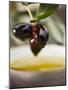 Olive Sprig with Black Olives over Bowl of Olive Oil-null-Mounted Photographic Print